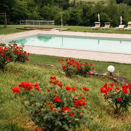 Tenuta Bellingeri - Del Barco