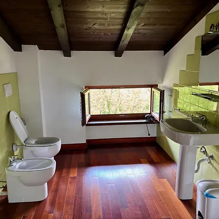 Tenuta Bellingeri - Del Barco Sant' Agata fossili