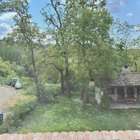 Tenuta Bellingeri - Del Barco
