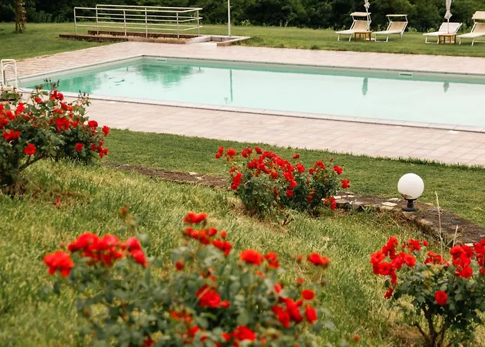 Tenuta Bellingeri - Del Barco