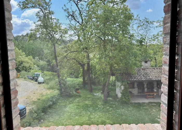 Tenuta Bellingeri - Del Barco